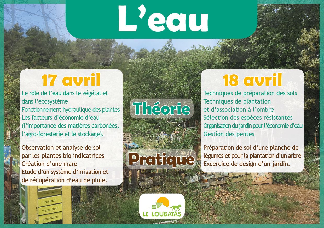 Odoo • une photo avec une légende