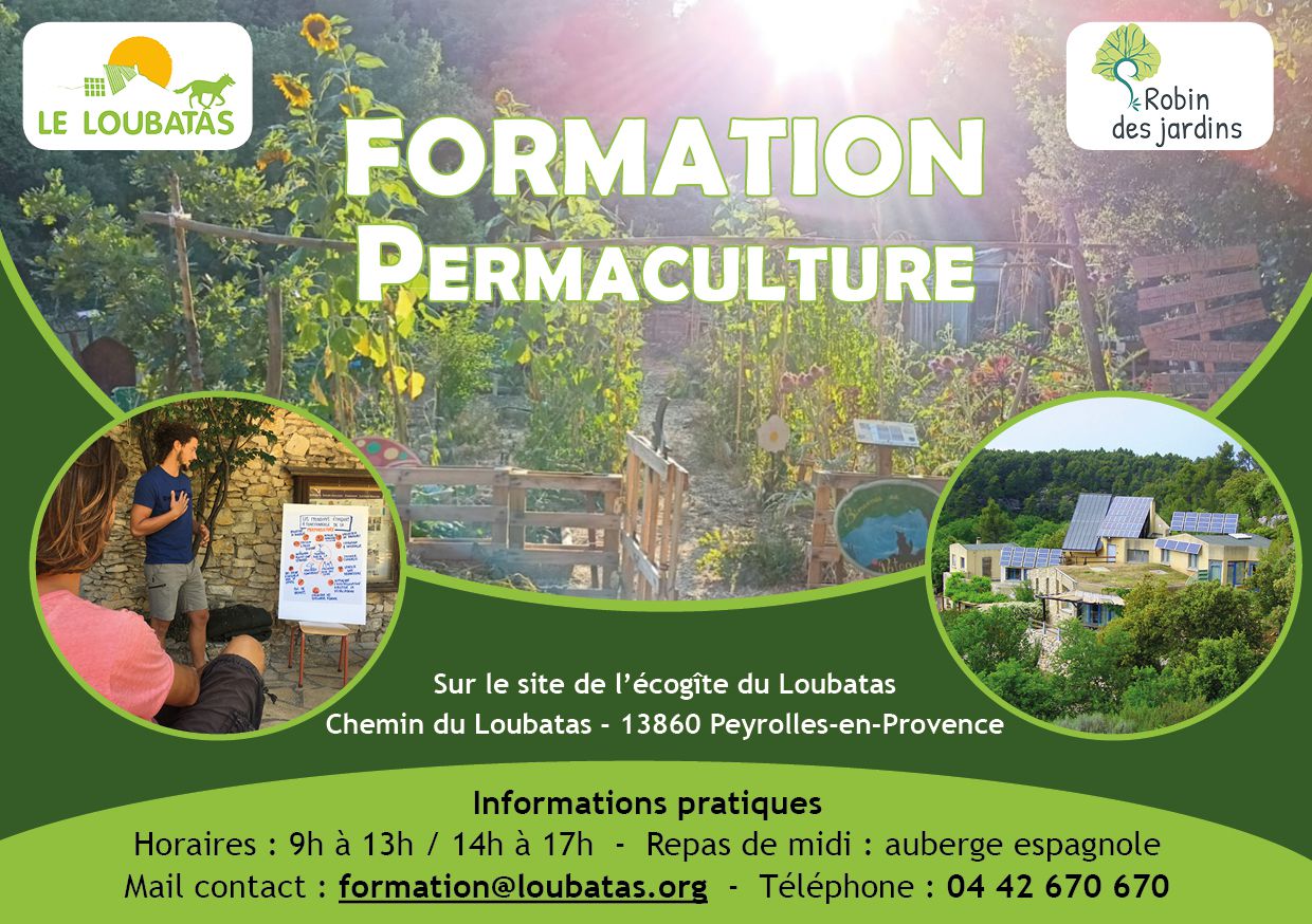 Odoo • Texte et Image