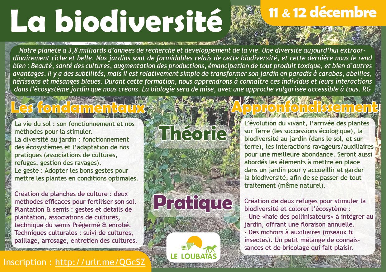 Odoo • Texte et Image