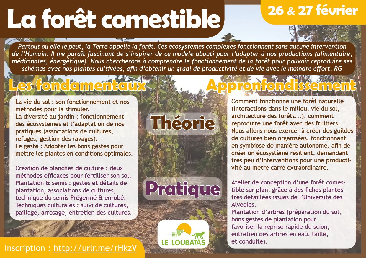 Odoo • Texte et Image